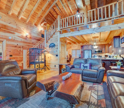 138 Lucius Lane, Cherry Log, GA