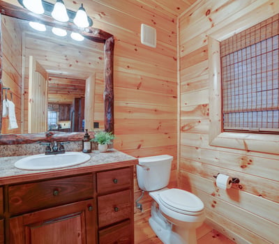 138 Lucius Lane, Cherry Log, GA