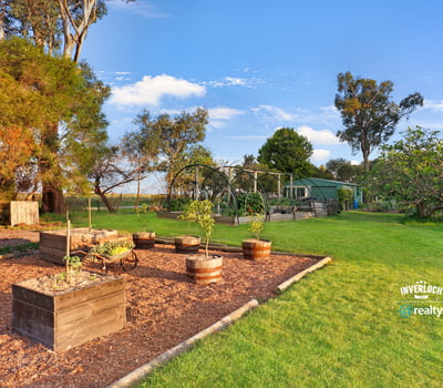 Spacious outdoor area featuring raised garden beds and scenic views, ideal for gardening enthusiasts and outdoor living.