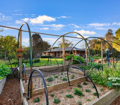 Lush vegetable garden with arched trellises, offering a unique outdoor oasis for gardening enthusiasts.