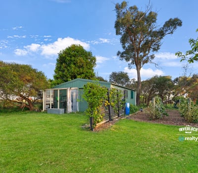 This property features a spacious backyard with greenery and a versatile outbuilding, perfect for various uses.