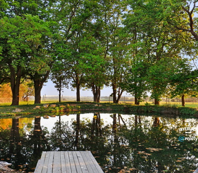 Scenic property featuring a tranquil pond surrounded by mature trees and vibrant greenery. Perfect for outdoor enthusiasts.