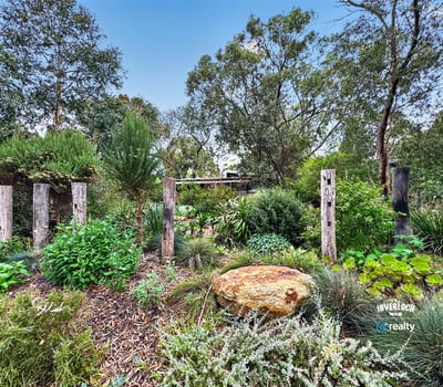 Lush garden landscape featuring native plants and rustic timber accents creates a vibrant outdoor retreat.