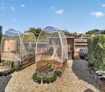 Discover this unique backyard space, featuring well-designed garden beds and protective structures for thriving plants.