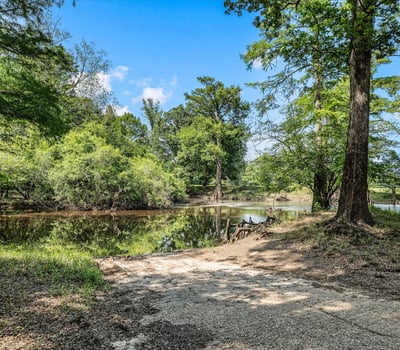 160 Neely Camp Road, Sarepta, LA