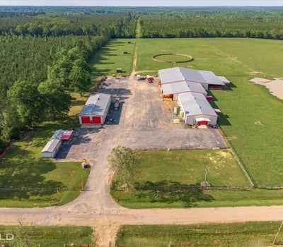 Spacious 20-acre property featuring multiple outbuildings, extensive land for farming, and scenic views.