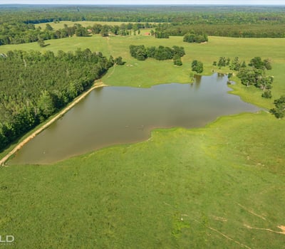 Expansive land featuring a picturesque pond, surrounded by lush greenery and ample space for development.
