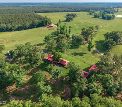 Sprawling ranch property with expansive greenery, scenic views, and multiple outbuildings nestled in nature.