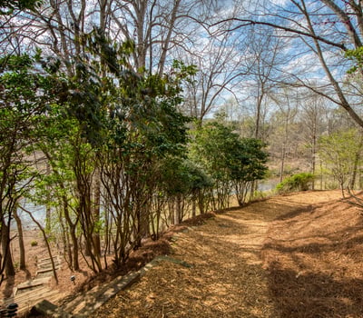 1325 Rolling Links Drive, Milton, GA