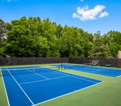 1110 Bascomb Farm Drive, Alpharetta, GA