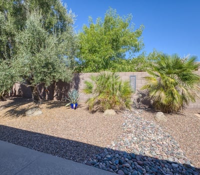 Thoughtfully landscaped with mature trees and desert plants, this backyard offers beauty and privacy with minimal upkeep.