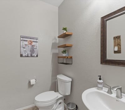 Convenient powder room with modern fixtures, pedestal sink, and neutral finishes ideal for guests visiting this Queen Creek home.
