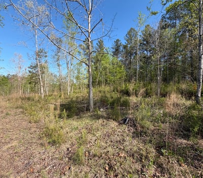 2125 Hwy 247, Belton, SC