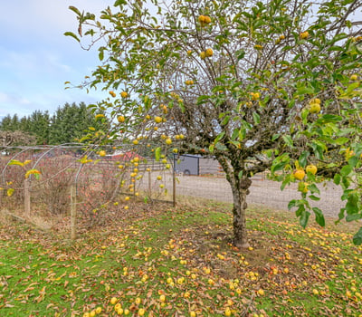 37902 SE Porter Road, Estacada, OR
