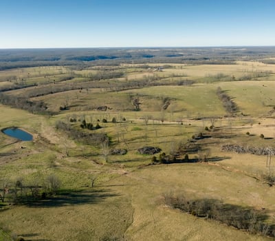 View looking west across the central pasture toward Bentonville corridor