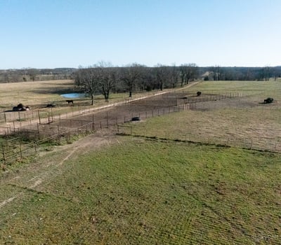 More cattle pens on the north end. Looking south