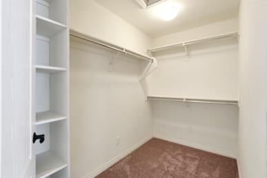 2893 W Jasper Butte Dr., San Tan Valley, AZ
