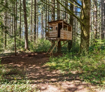 21825 S Lewellen Rd, Beavercreek, OR
