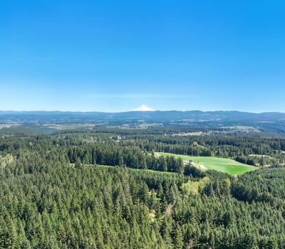 21825 S Lewellen Rd, Beavercreek, OR