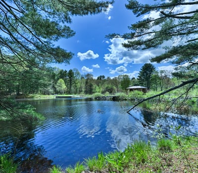 641 FIVE MILE RIVER RD, 38 and 52 CADY RD, PUTNAM, CT