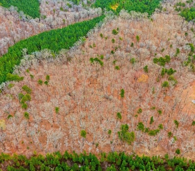 Lot 4 Deer Hollow Dr, Gold Hill, NC