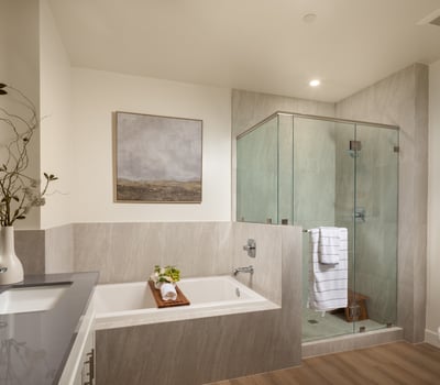 Master Bathroom Has Separate Shower Room and Bathtub