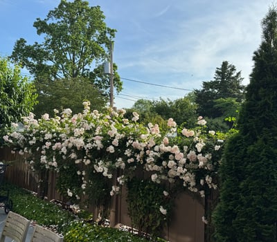 203 E. Chew Avenue, St. Michaels, MD