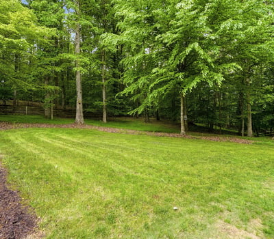Expansive green yard surrounded by lush trees, perfect for outdoor activities and creating your dream oasis.