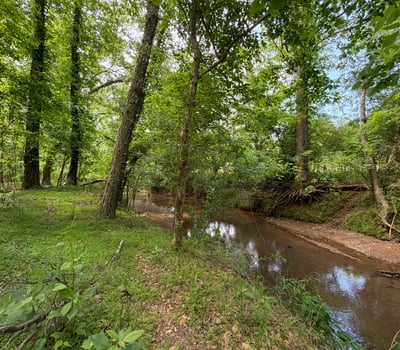 The Little River forms the natural border at the back of the property, creating a peaceful wooded backdrop and a rare sense of privacy. It s the kind of setting that makes the acreage feel even more special quiet, natural, and beautifully connected to the land.
