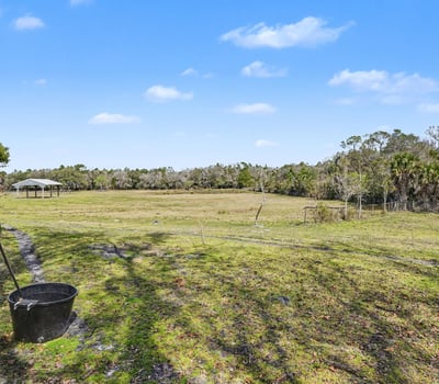 View from the fenced in dog yard looking out into the pasture! This pasture has a natural rolling hill that slopes down providing for natural drainage.