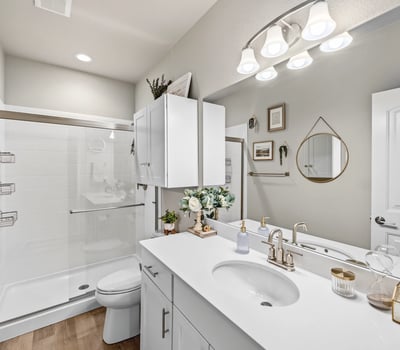 Basement Bathroom