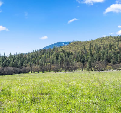 Buckhorn Road #1000, Ashland, OR