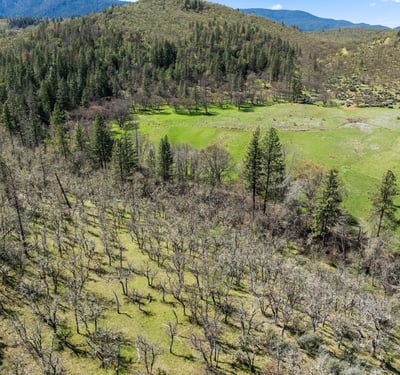 Buckhorn Road #1000, Ashland, OR