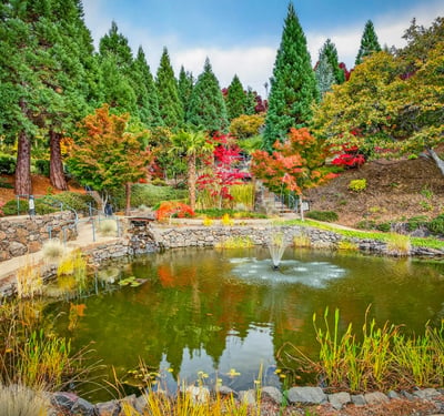 200 Belle Fiore Ln, Ashland, OR