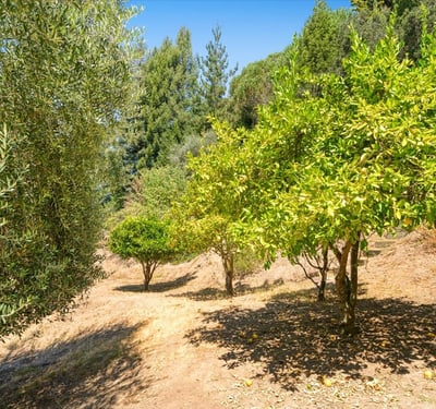 220 Whippet Run, Corralitos, CA
