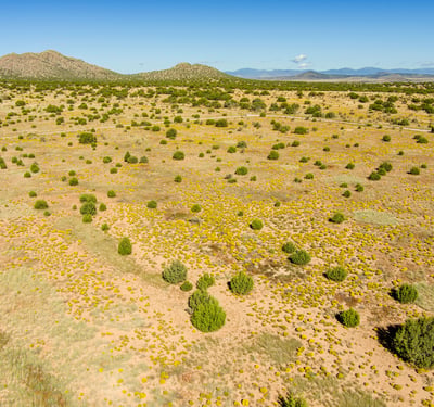 Silver Hills Lot 1, Santa Fe, NM