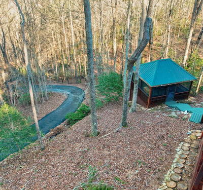 138 Lucius Lane, Cherry Log, GA