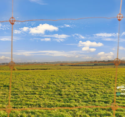 Expansive green fields under a bright sky, ideal for agricultural development or recreational living.