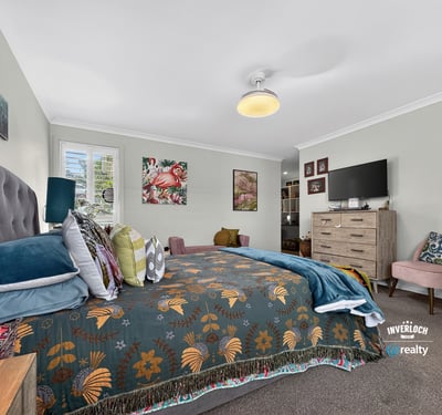Spacious bedroom featuring vibrant decor, natural light, and cozy furnishings for a welcoming retreat.