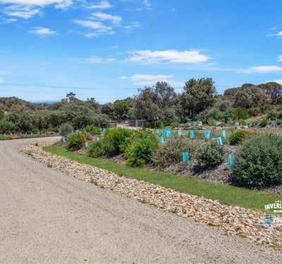 65-69 Viminaria Road, Harmers Haven, VIC