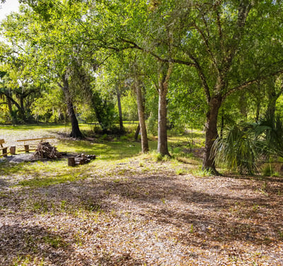 8096 SW Golden Glade Ave, Arcadia, FL