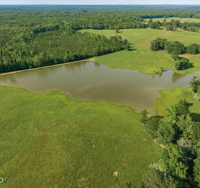 Sprawling lush land with a picturesque pond, perfect for recreational activities and serene country living.