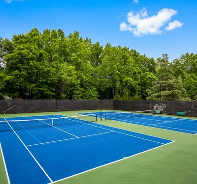 1110 Bascomb Farm Drive, Alpharetta, GA