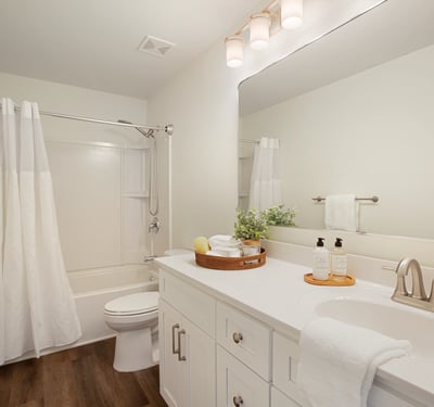 6728 Pierless Avenue, Sugar Hill, GA