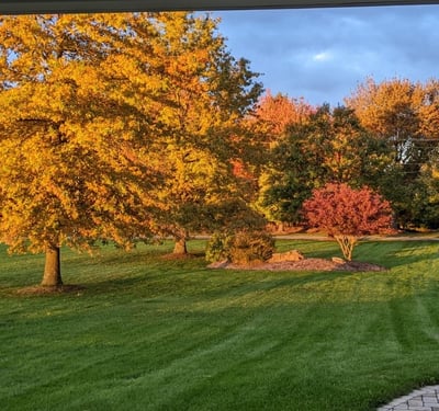 Morning sun brings a glow to the changing fall colors.