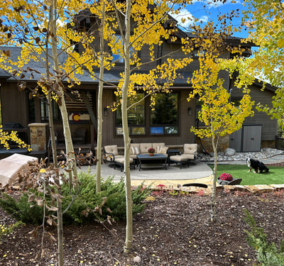 240 Game Trail Road, Silverthorne, CO