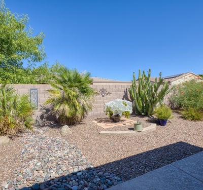 A tranquil backyard blending lush greenery and desert elements, creating a serene, private retreat perfect for outdoor living.
