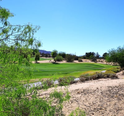Backyard setting with expansive golf course views, desert landscaping, and mature greenery. This Phoenix home offers a tranquil outdoor environment with open space.