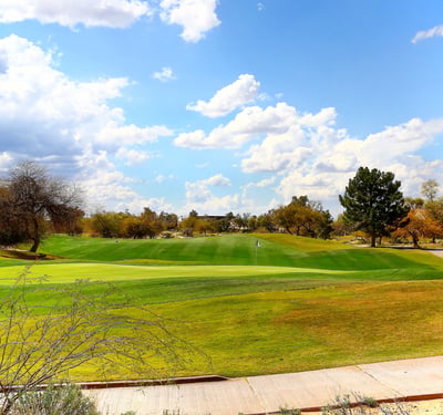 Wide golf course view featuring vibrant greens, mature trees, and desert surroundings. This Phoenix community provides a scenic setting with recreational amenities and a peaceful outdoor environment.