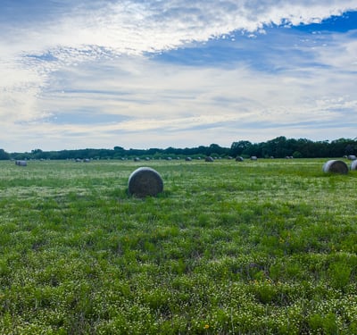 16833 County Road 2200, Lometa, TX
